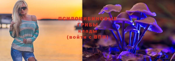 СК Покров