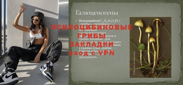 СК Покров