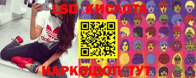 стафф Славгород
