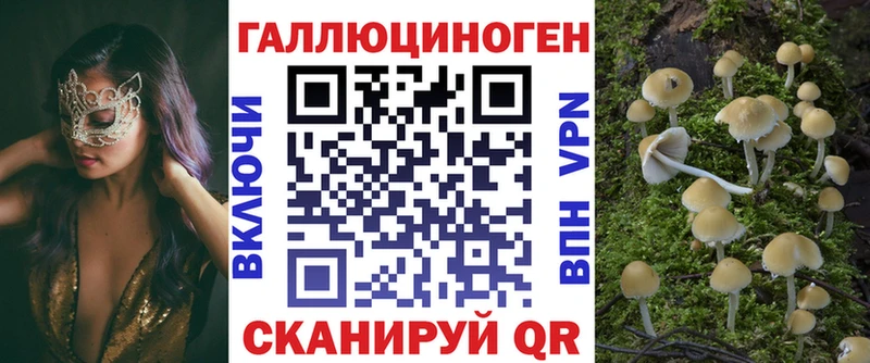 Псилоцибиновые грибы ЛСД  Торжок 