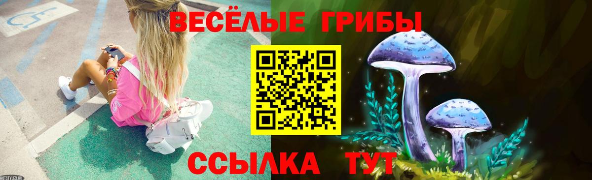 Псилоцибиновые грибы прущие грибы Торжок