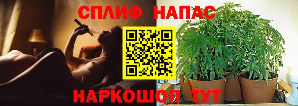 Канабис марихуана Торжок